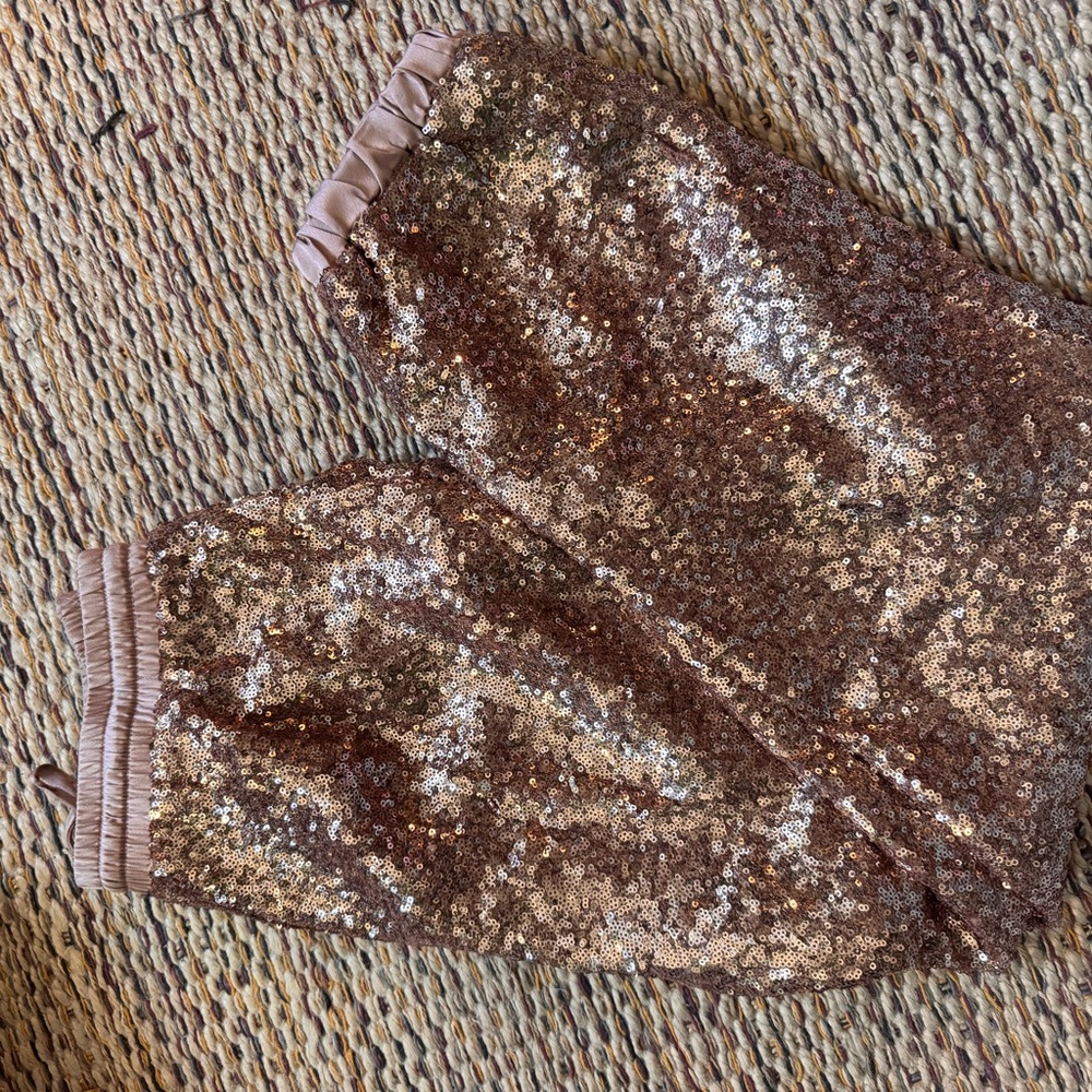 Saturday/Sunday Anthro Shimmering Sequin Joggers